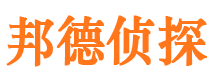 莲都市私家侦探